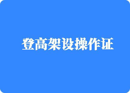 大鸡巴插大嫩骚逼视频登高架设操作证